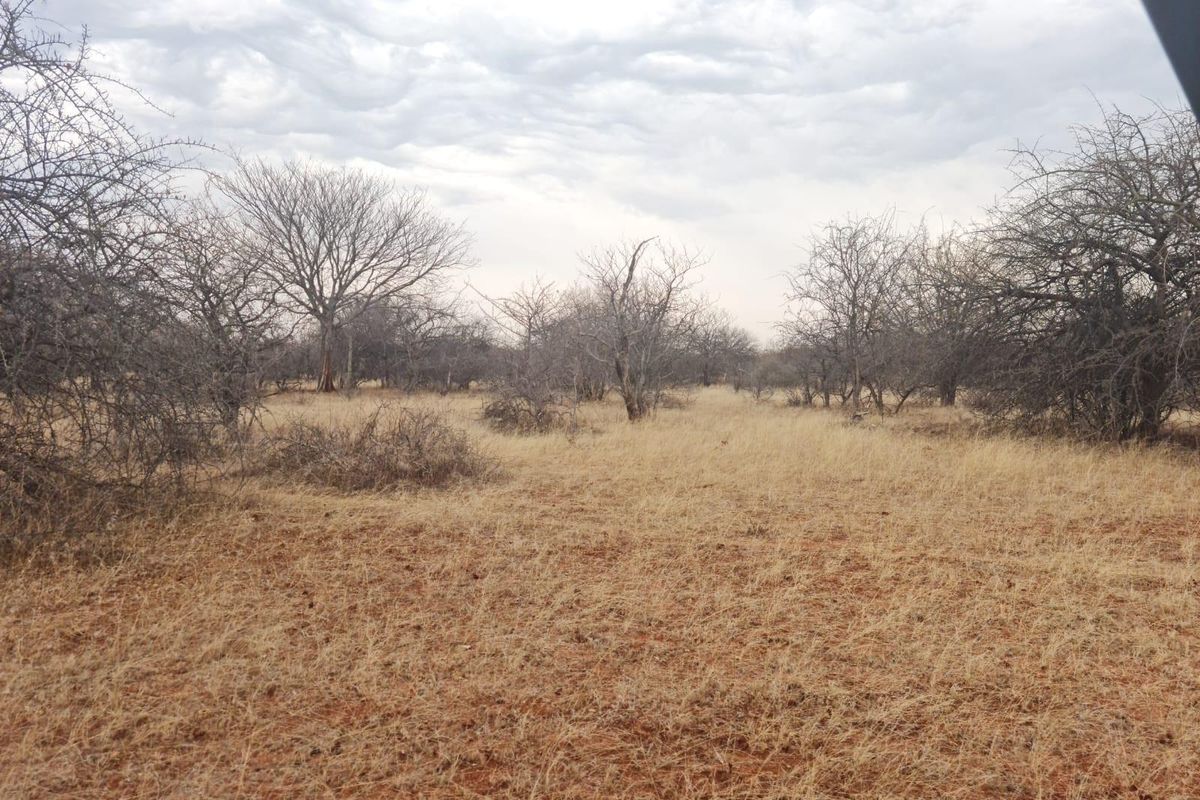 578 ha Water-Rich Bushveld Game Farm with Lodge Potential - Photo 3