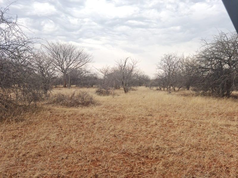 A wide-angle view of the natural farm landscape featuring dry grassland and indigenous trees under an overcast sky.