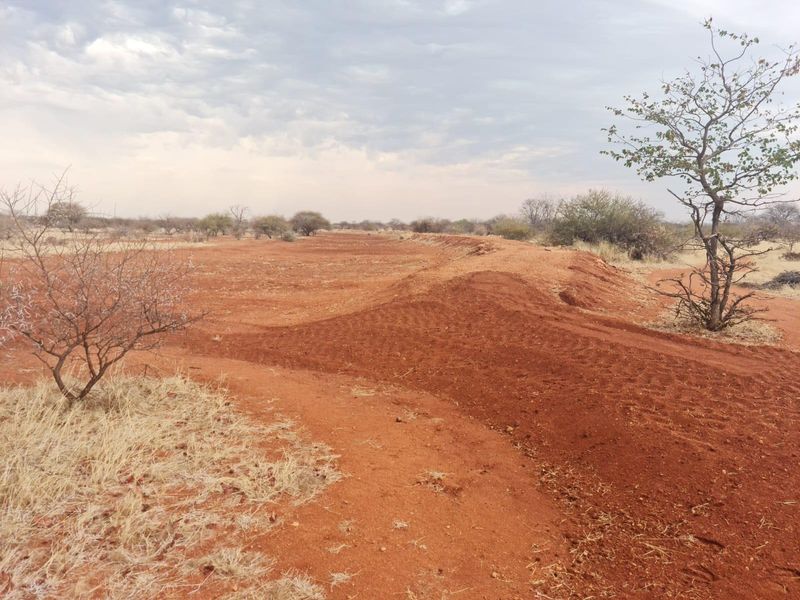 Expansive open farm land featuring natural red soil terrain and sparse indigenous vegetation, suitable for agricultural or development purposes.