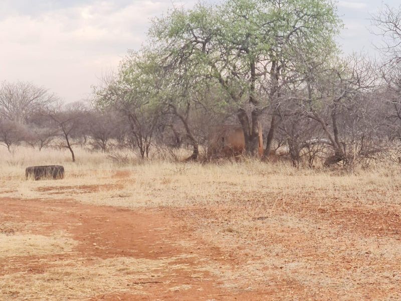 A view of the expansive farm landscape featuring natural vegetation, dry grass, and mature trees on the property grounds.