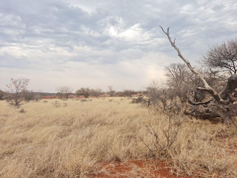 A wide-angle view of the expansive, dry grassland landscape typical of the farm property, featuring natural vegetation and open terrain.