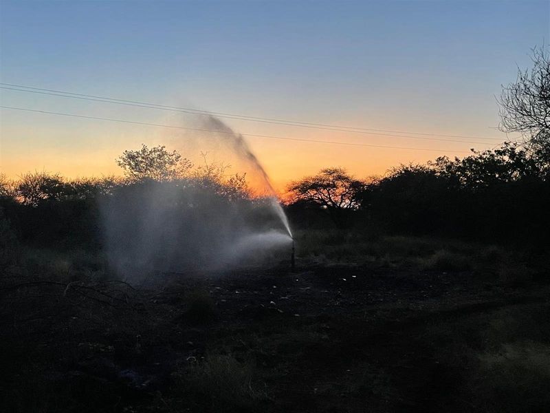 578 ha Water-Rich Bushveld Game Farm with Lodge Potential - Photo 1