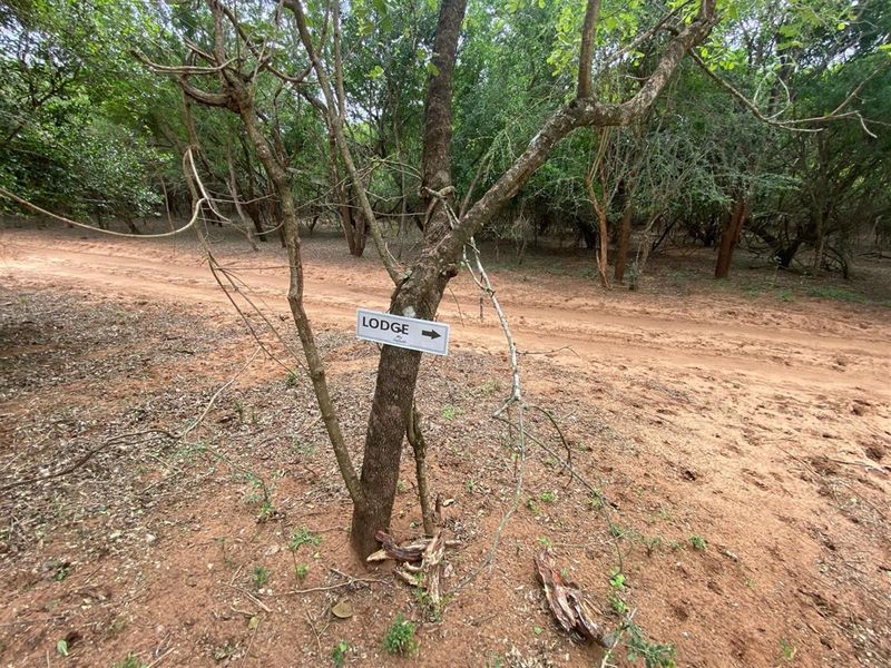 Luxurious Fully Equipped walk in Lodge Hluhluwe KwaZulu Natal - Photo 10