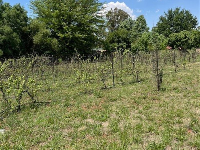 Vacant Land For Sale in Henley On Klip Meyerton - Photo 2