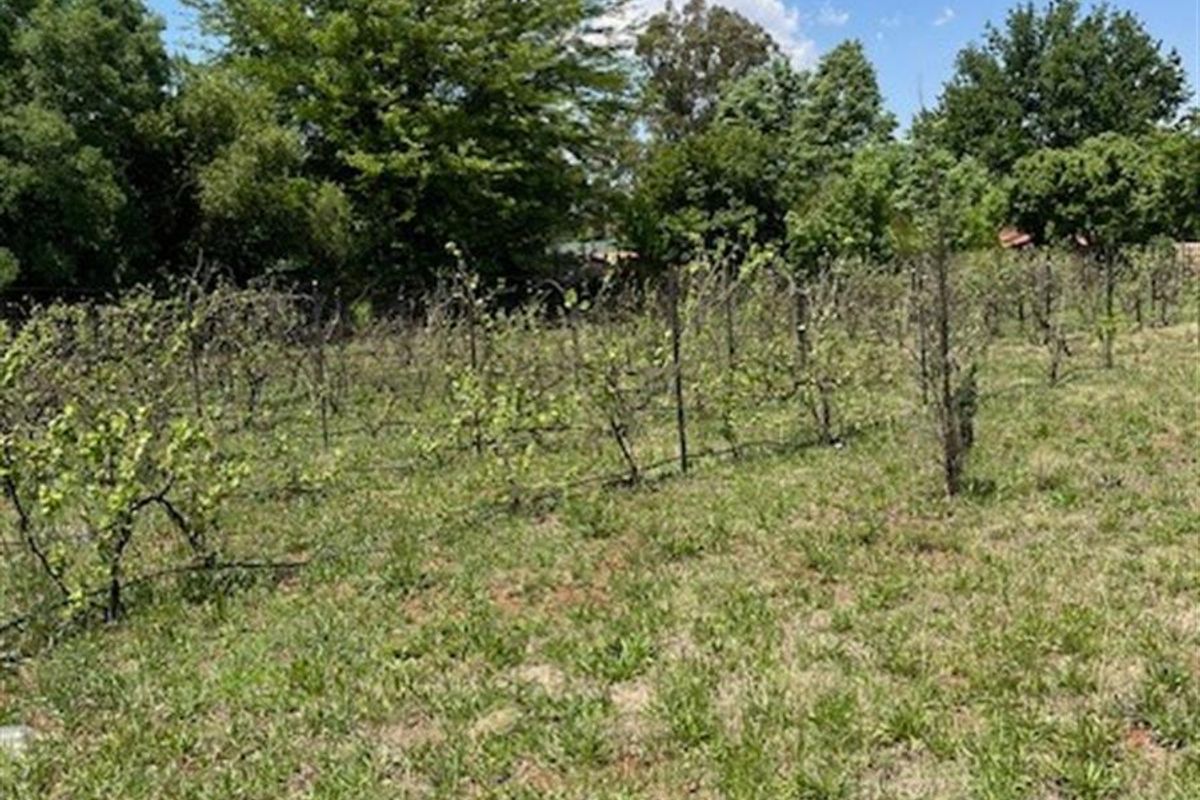 Vacant Land For Sale in Henley On Klip Meyerton - Photo 2