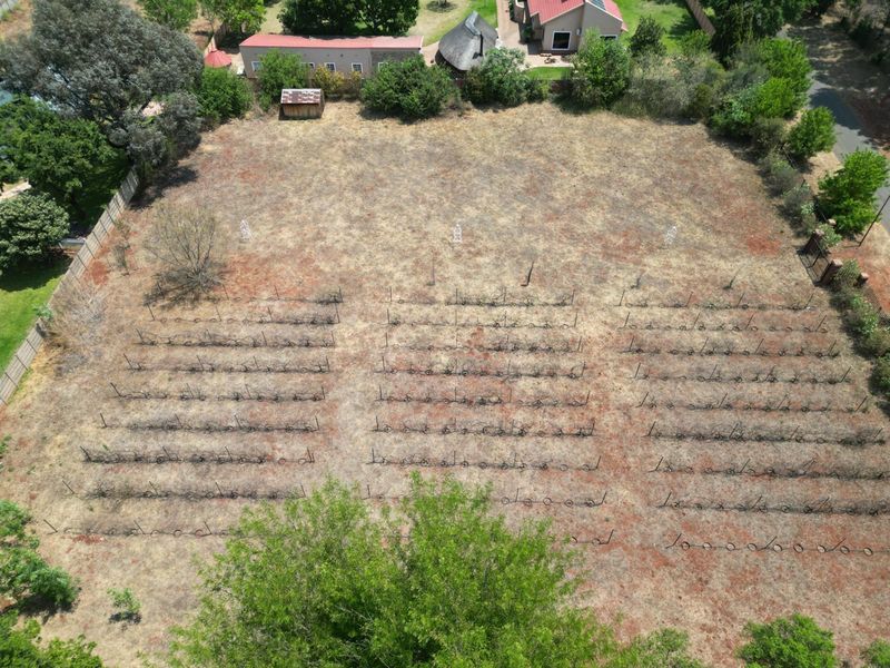 Vacant Land For Sale in Henley On Klip Meyerton - Photo 3