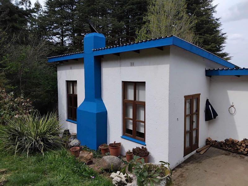 Exterior view of a small detached structure featuring a prominent blue chimney, white rendered walls, and timber-framed windows set in a garden.