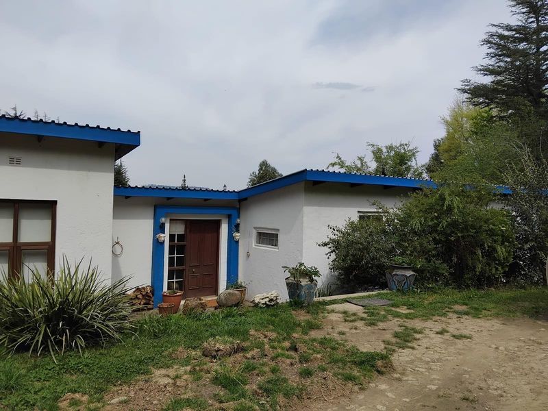 Exterior view of the house featuring a white facade with blue trim, a wooden entrance door, and surrounding garden area.