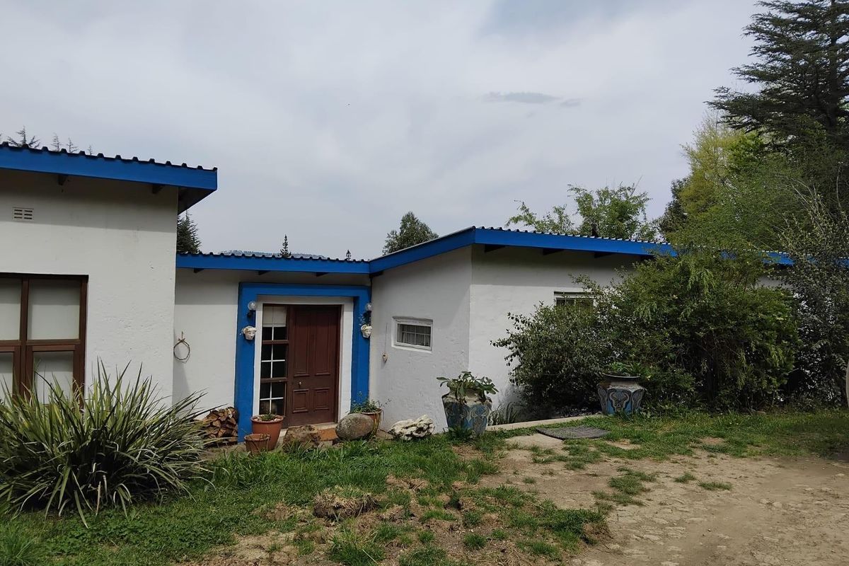 Exterior view of the house featuring a white facade with blue trim, a wooden entrance door, and surrounding garden area.
