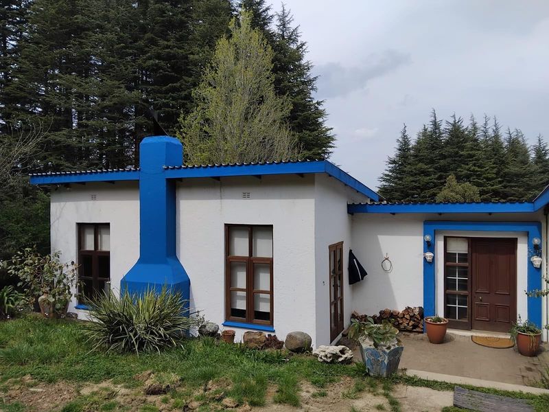 A charming cottage-style exterior featuring a prominent blue chimney, white rendered walls, and a covered entrance area surrounded by established trees.