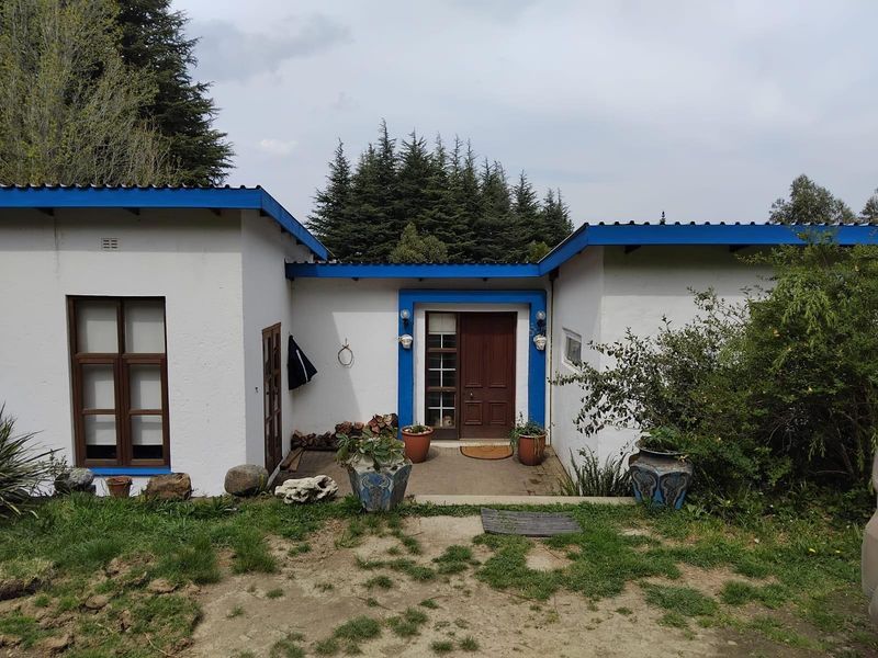 Front entrance of a single-story house featuring a paved porch, wooden door, and distinctive blue trim against white textured walls.