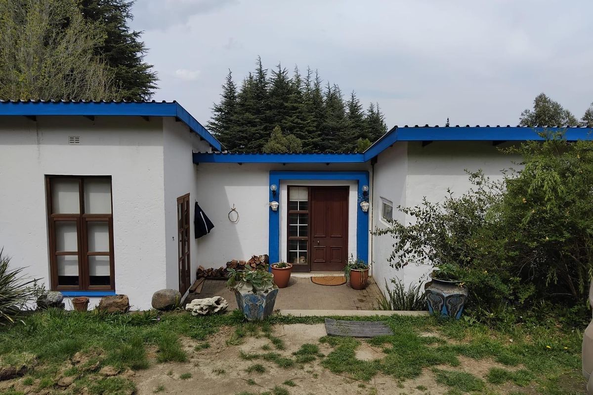 Front entrance of a single-story house featuring a paved porch, wooden door, and distinctive blue trim against white textured walls.
