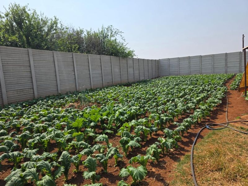 Farm For Sale in Lilyvale AH, Benoni - Photo 10