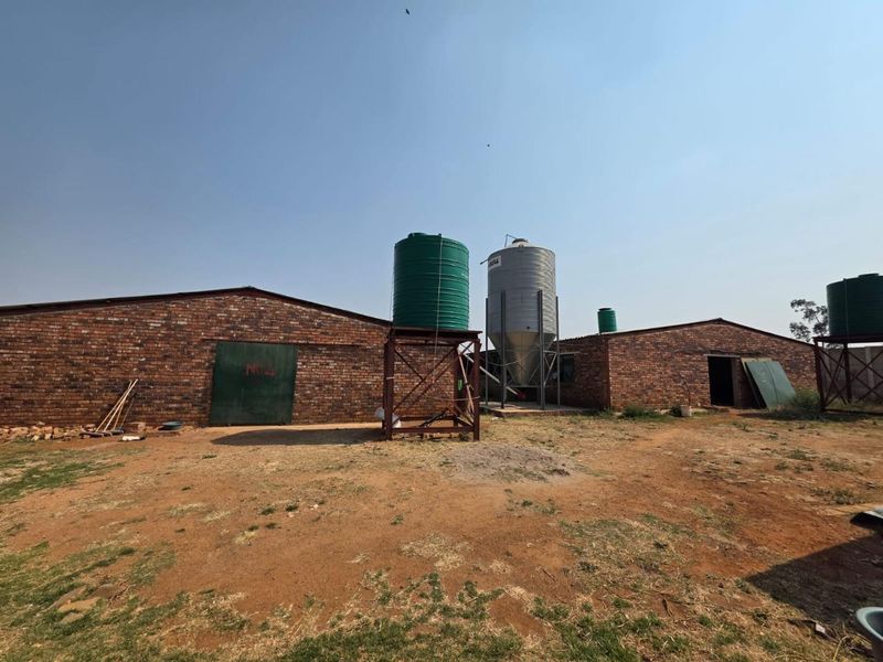 Farm For Sale in Lilyvale AH, Benoni - Photo 8