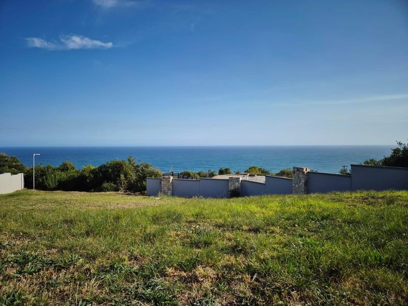 Spectacular Oceanfront Stand with unobstructed views in Le Grand Estate - Photo 3