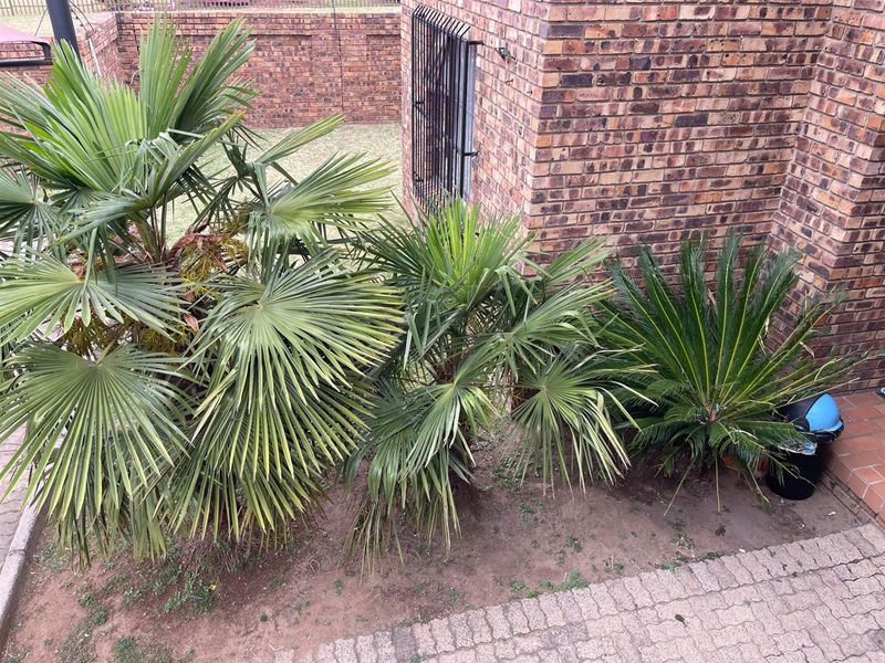 Cosy Apartment Up For Grabs in Swan-Ridge Estate!!! - Photo 2