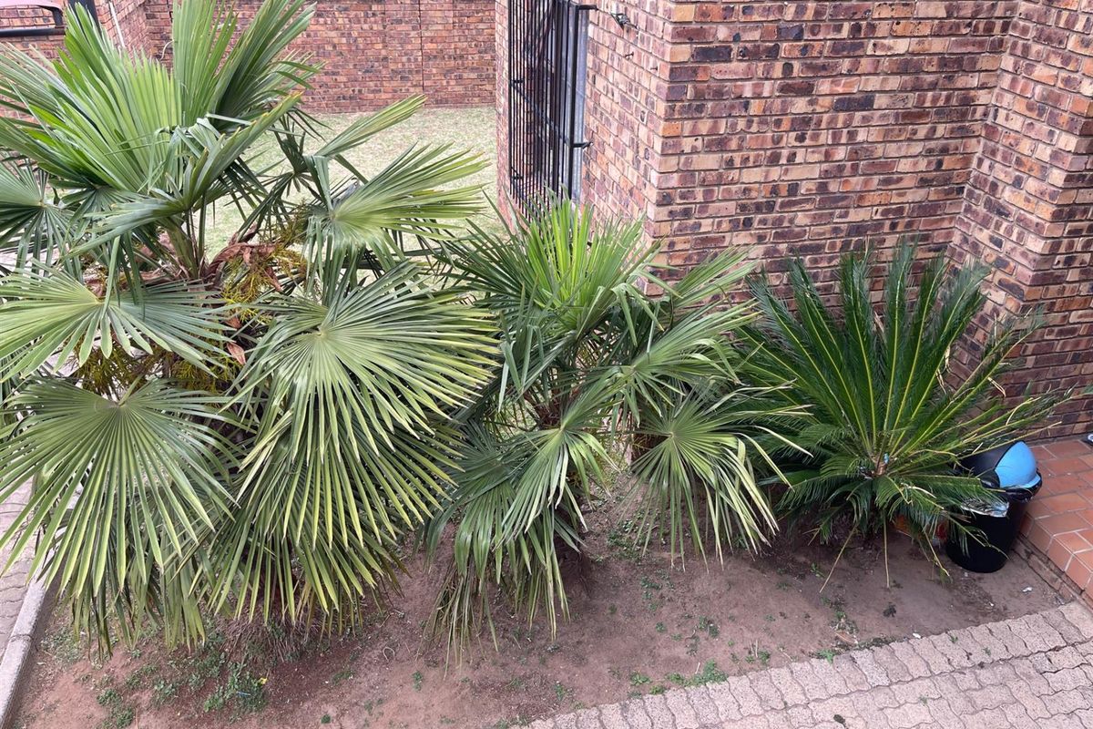 Cosy Apartment Up For Grabs in Swan-Ridge Estate!!! - Photo 2