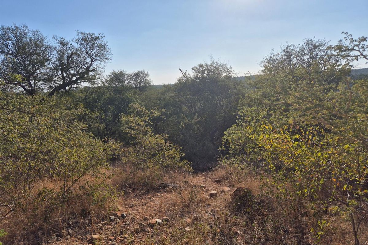 A well positioned affordable plot in Elephant Rock Eco Estate, Hoedspruit - Photo 3