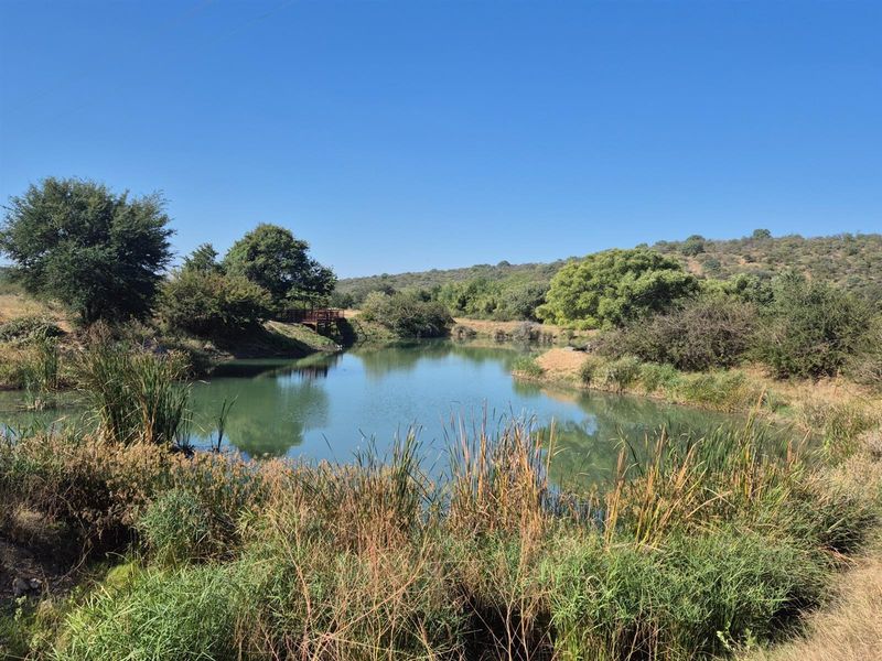 A well positioned affordable plot in Elephant Rock Eco Estate, Hoedspruit - Photo 10