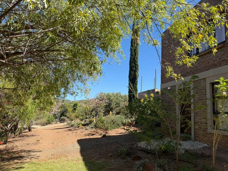 Farm For Sale in Van Wyksdorp, Ladismith - Photo 4