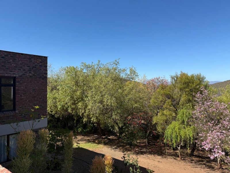 Farm For Sale in Van Wyksdorp, Ladismith - Photo 3