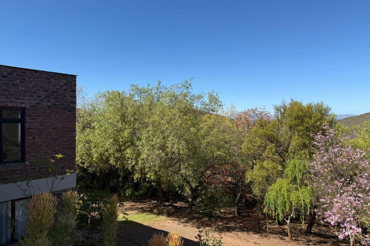 Farm For Sale in Van Wyksdorp, Ladismith - Photo 3