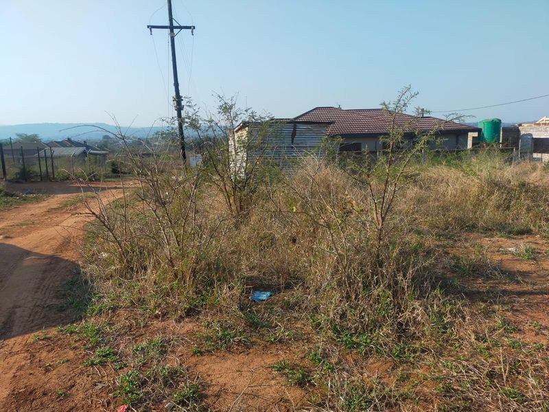 A view of a vacant residential plot featuring natural vegetation, a utility pole, and surrounding neighborhood structures.