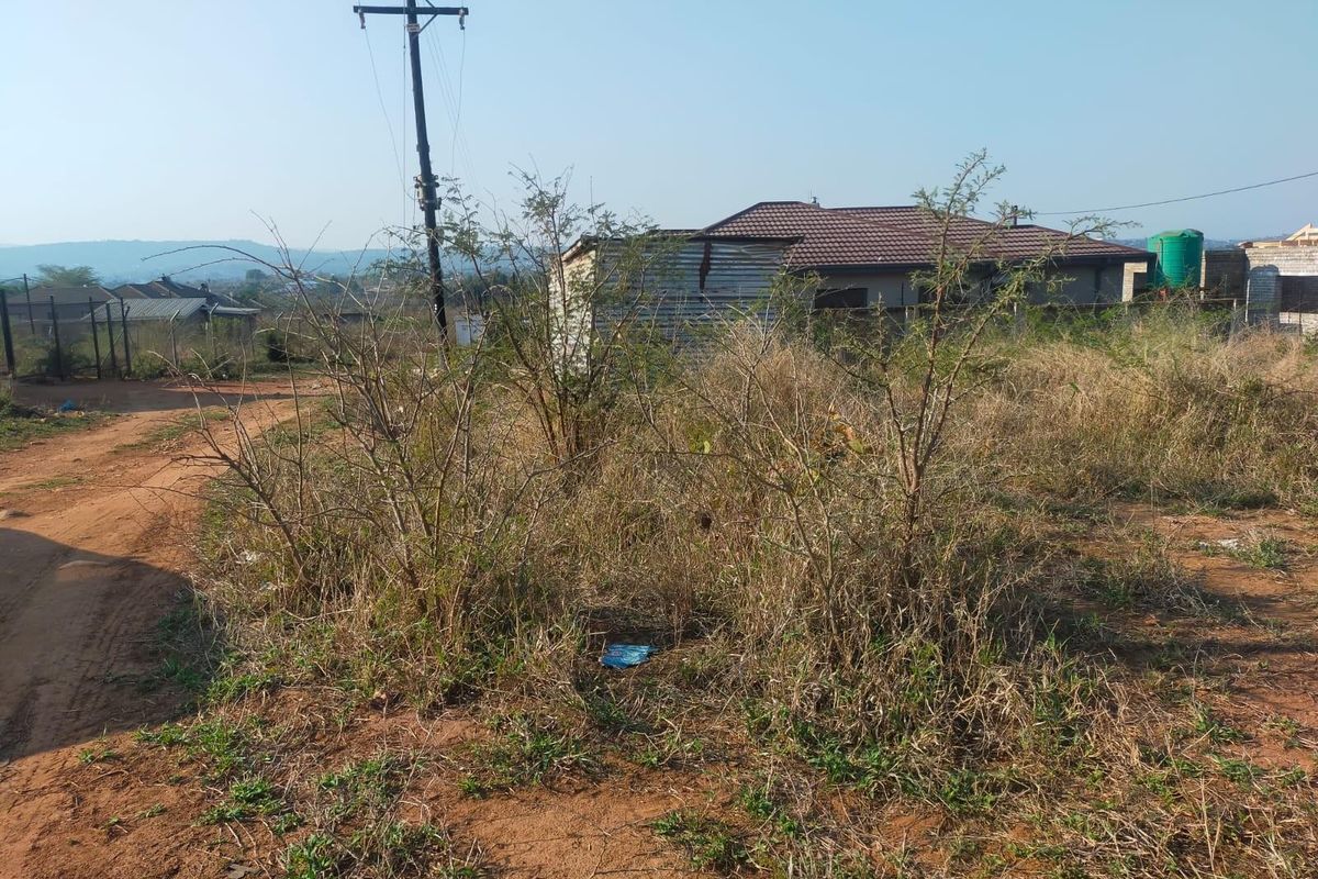 A view of a vacant residential plot featuring natural vegetation, a utility pole, and surrounding neighborhood structures.