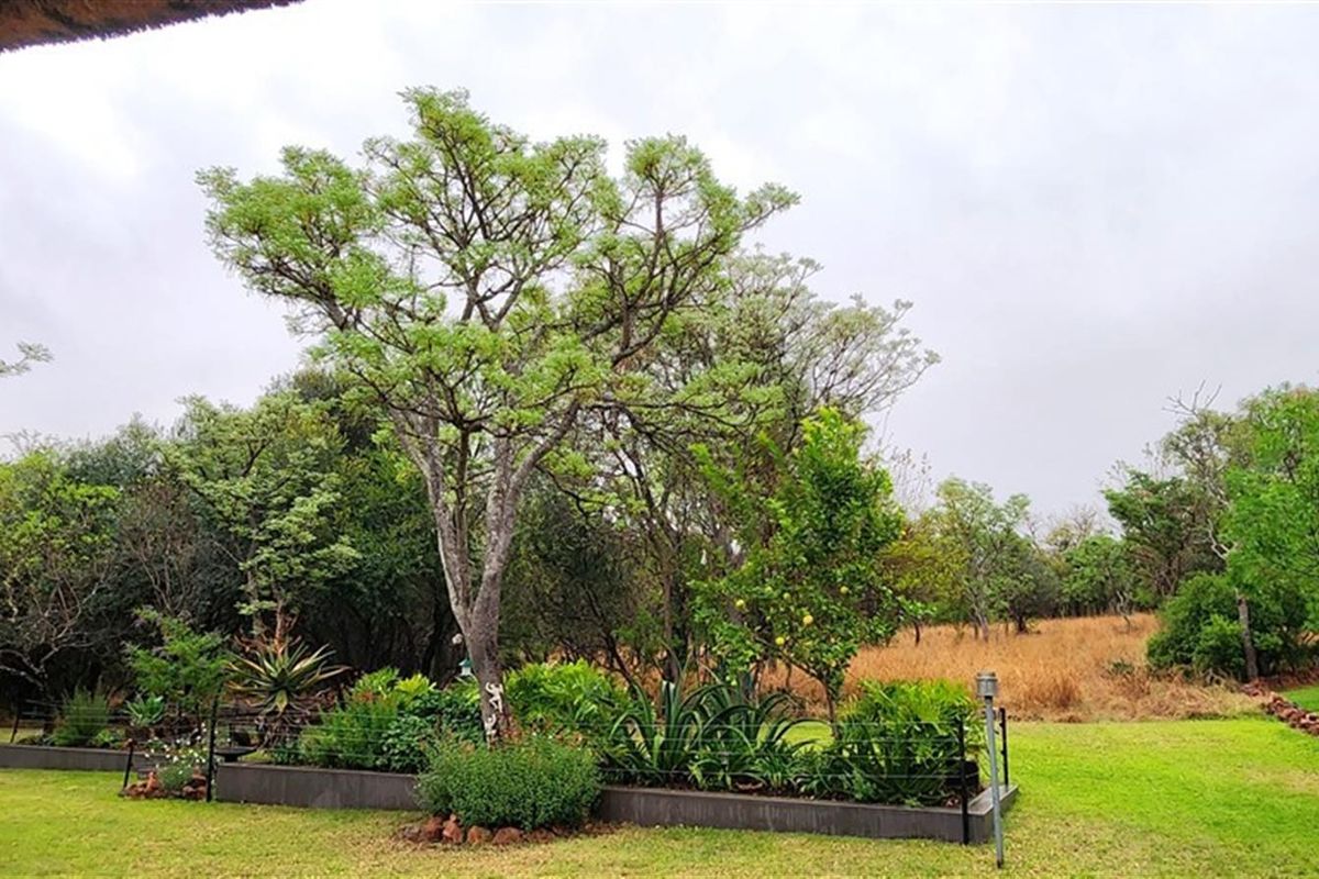 3 bedroom house in Koro Creek Bushveld Golf Estate, Modimolle - Photo 4