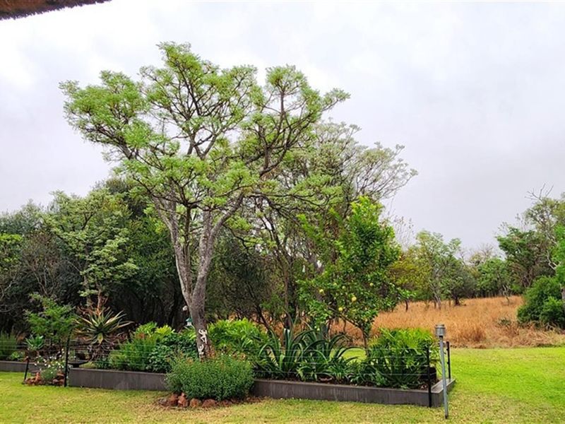 A well-maintained garden area featuring established trees, landscaped shrubbery, and a neat lawn, providing a peaceful outdoor setting.