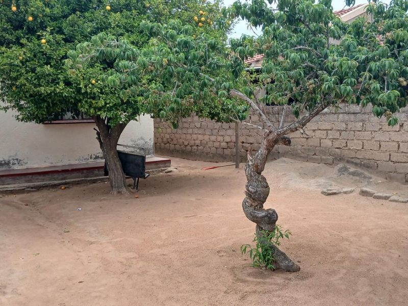 House For Sale in Seshego 9E, Seshego, Polokwane - Photo 3