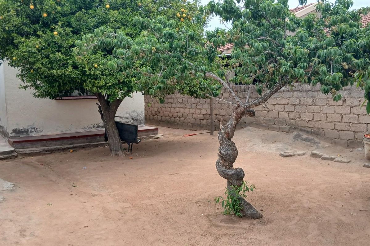 House For Sale in Seshego 9E, Seshego, Polokwane - Photo 3