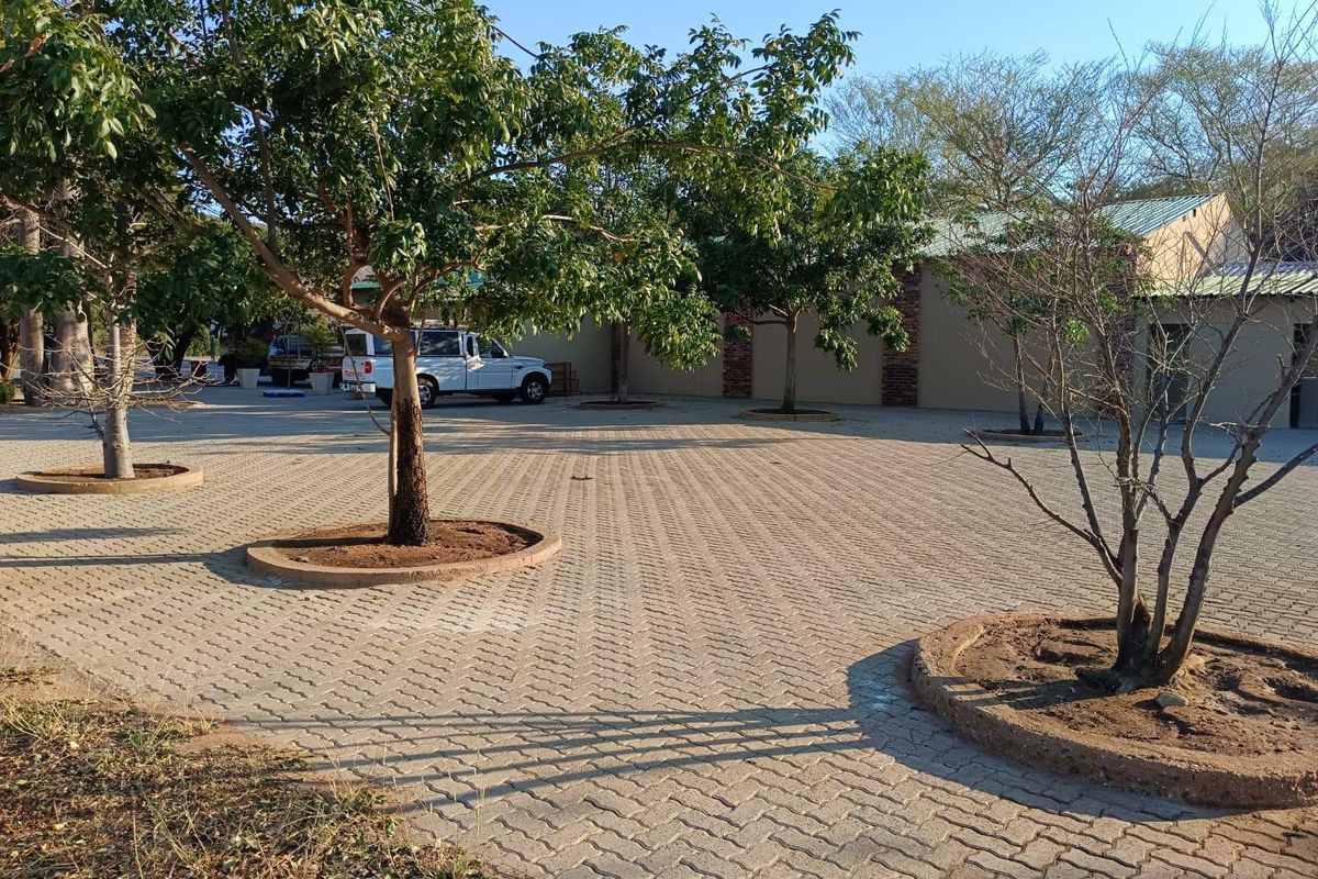 Retail and Rental Gem in Waterpoort - Includes Liquor Licences and Infrastructure - Photo 5