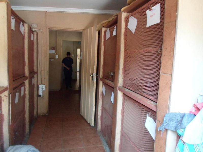 Veterinary Clinique - Photo 2