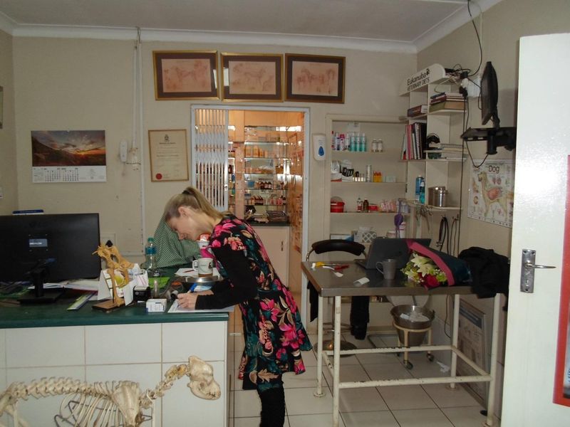 Veterinary Clinique - Photo 9