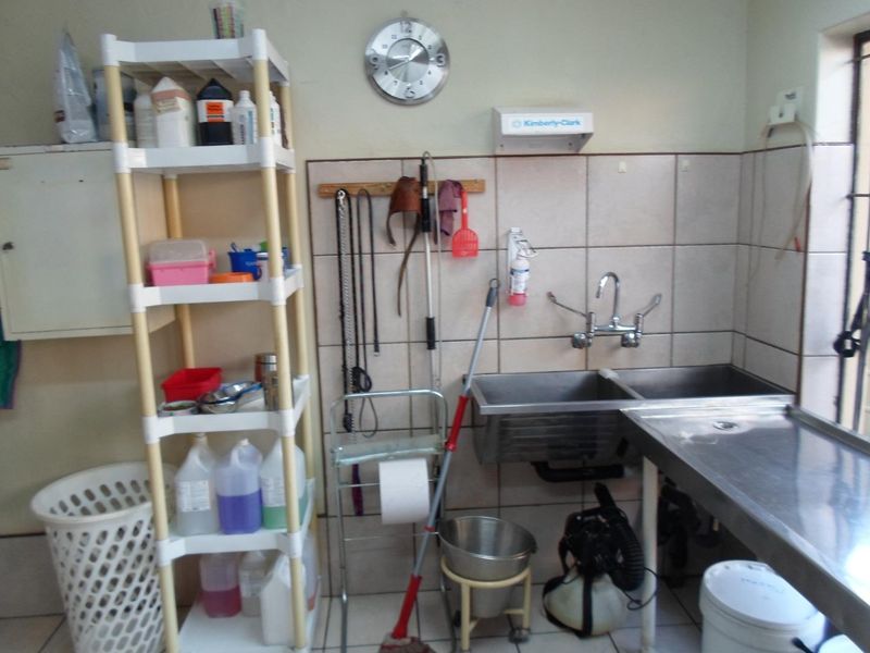 Veterinary Clinique - Photo 8