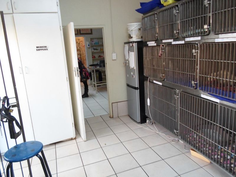 Veterinary Clinique - Photo 7