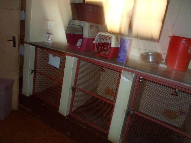 Veterinary Clinique - Photo 3