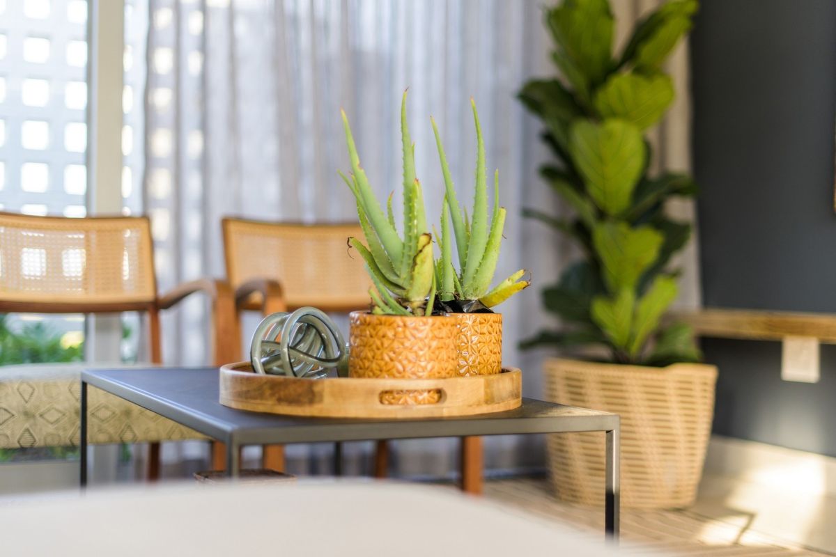 A close-up view of a living room space featuring natural light filtering through sheer curtains.