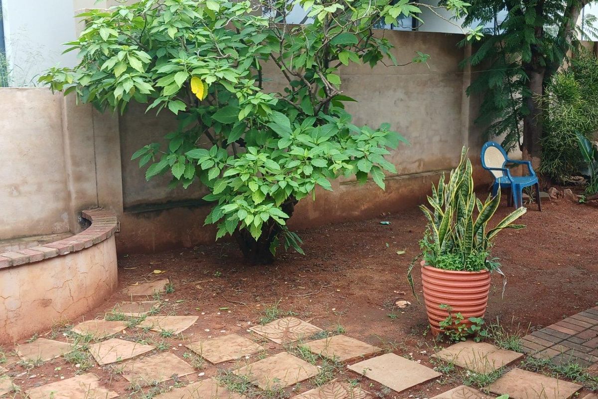 A rear garden area featuring a built-in masonry water feature, paved sections, and perimeter boundary walls.