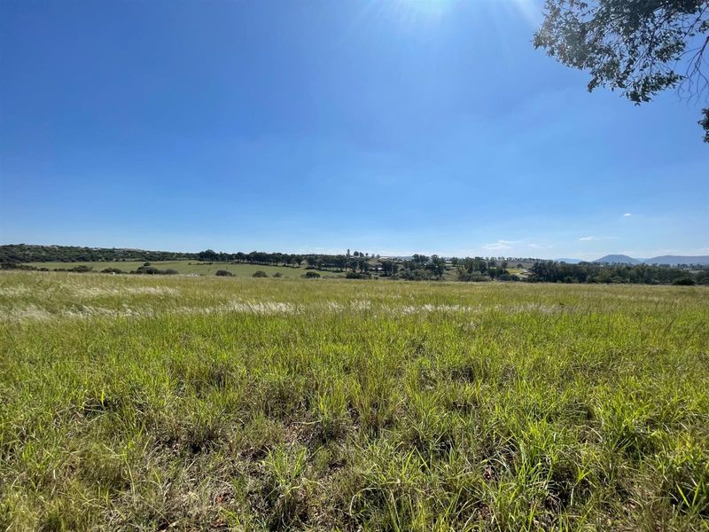 COUNTRYSIDE LIVING AT IT'S BEST - Photo 4