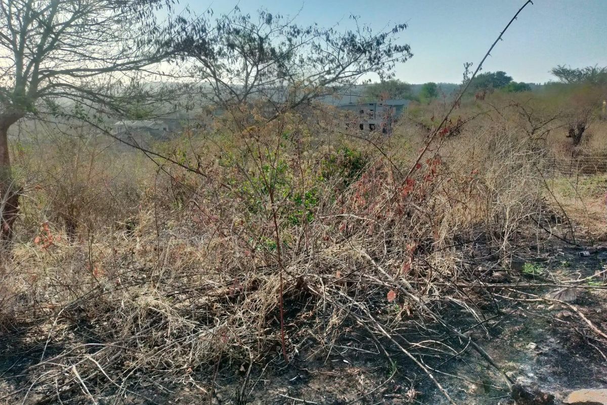 VACANT LAND FOR SALE IN THOHOYANDOU UNIT S - Photo 3