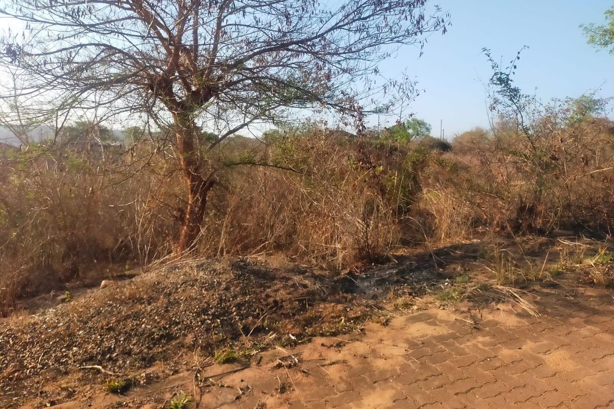 VACANT LAND FOR SALE IN THOHOYANDOU UNIT S - Photo 4