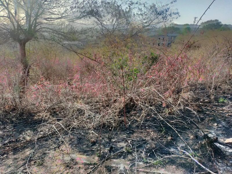 VACANT LAND FOR SALE IN THOHOYANDOU UNIT S - Photo 6