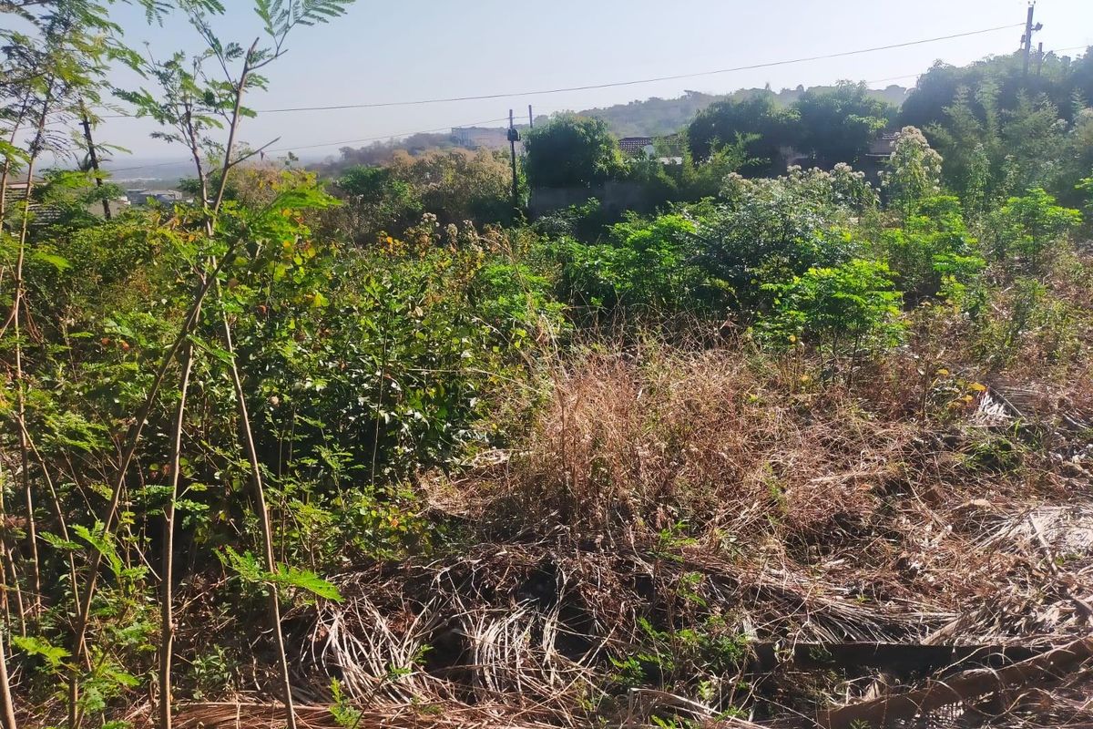 Vacant Land For Sale in Thohoyandou Unit E - Photo 3