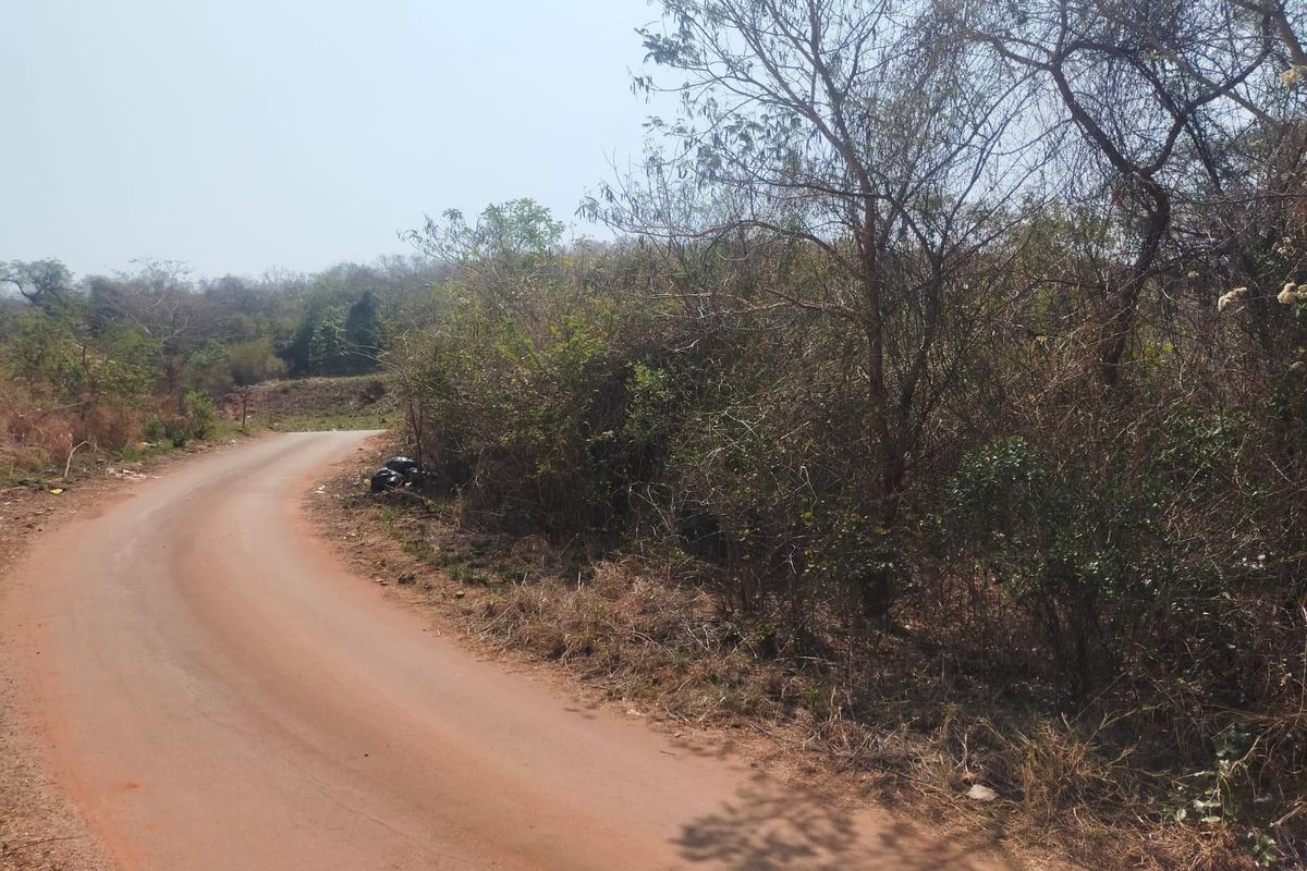 Vacant Land For Sale in Thohoyandou Unit D - Photo 2