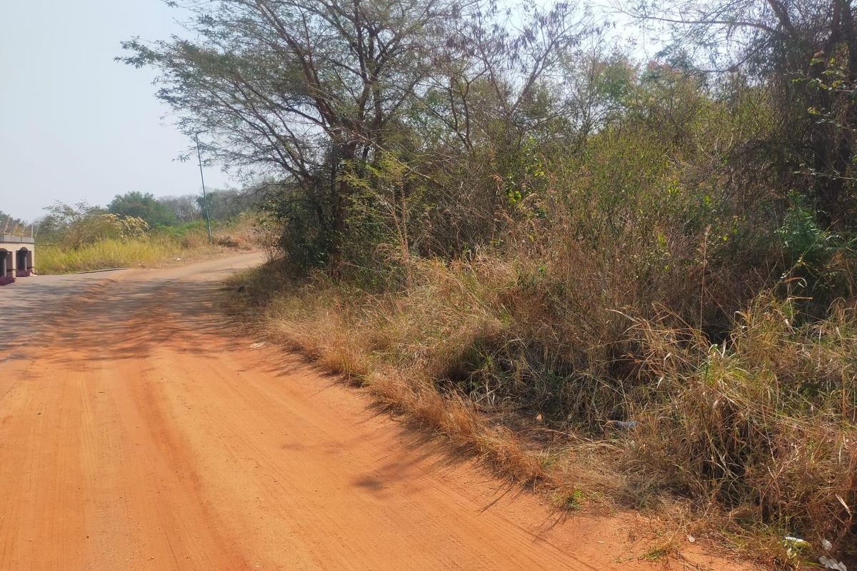 Vacant Land For Sale in Thohoyandou Unit D - Photo 4