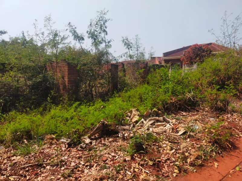 Vacant Land For Sale in Thohoyandou Unit D - Photo 7