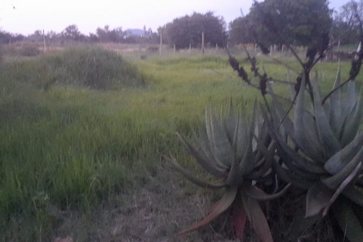 Vacant Land For Sale in Pretoria North, Pretoria - Photo 2