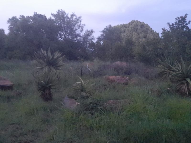 Vacant Land PLOT For Sale in Pretoria North, Pretoria - Photo 3